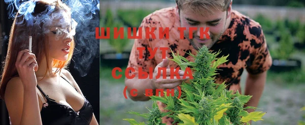 твердый Аркадак
