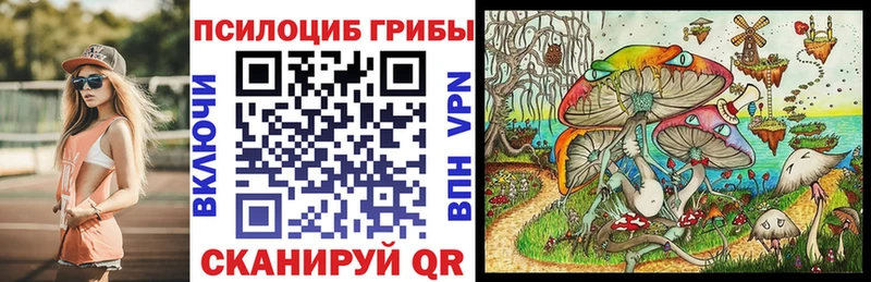 Галлюциногенные грибы GOLDEN TEACHER  дарнет шоп  Аркадак 